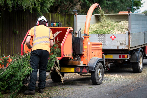 Best Lawn Drainage Solutions  in Hopkins, SC